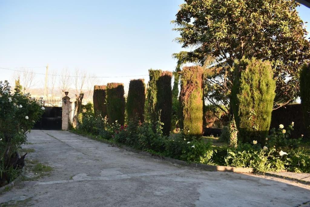 Vivienda Rural Huerta Del Medio Villa Granada Bagian luar foto